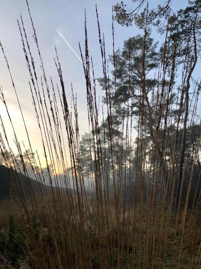 Het Natuurhuisje Op De Veluwe 宁斯佩特 外观 照片