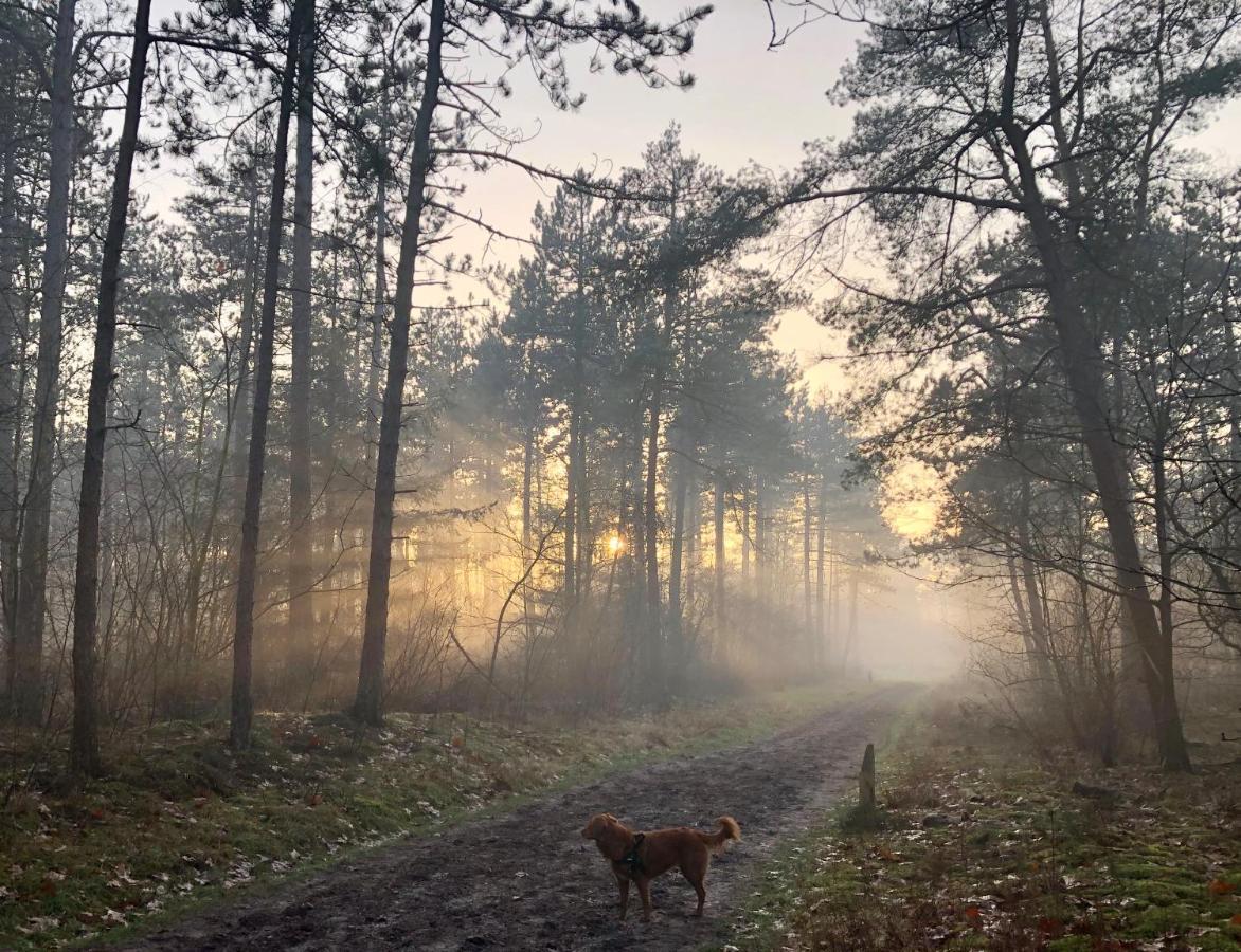 Het Natuurhuisje Op De Veluwe 宁斯佩特 外观 照片