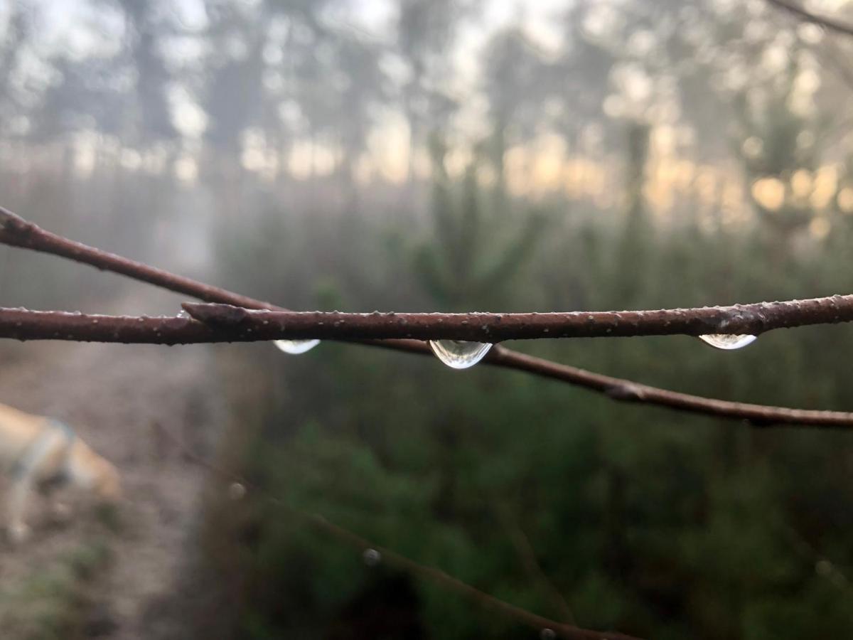 Het Natuurhuisje Op De Veluwe 宁斯佩特 外观 照片