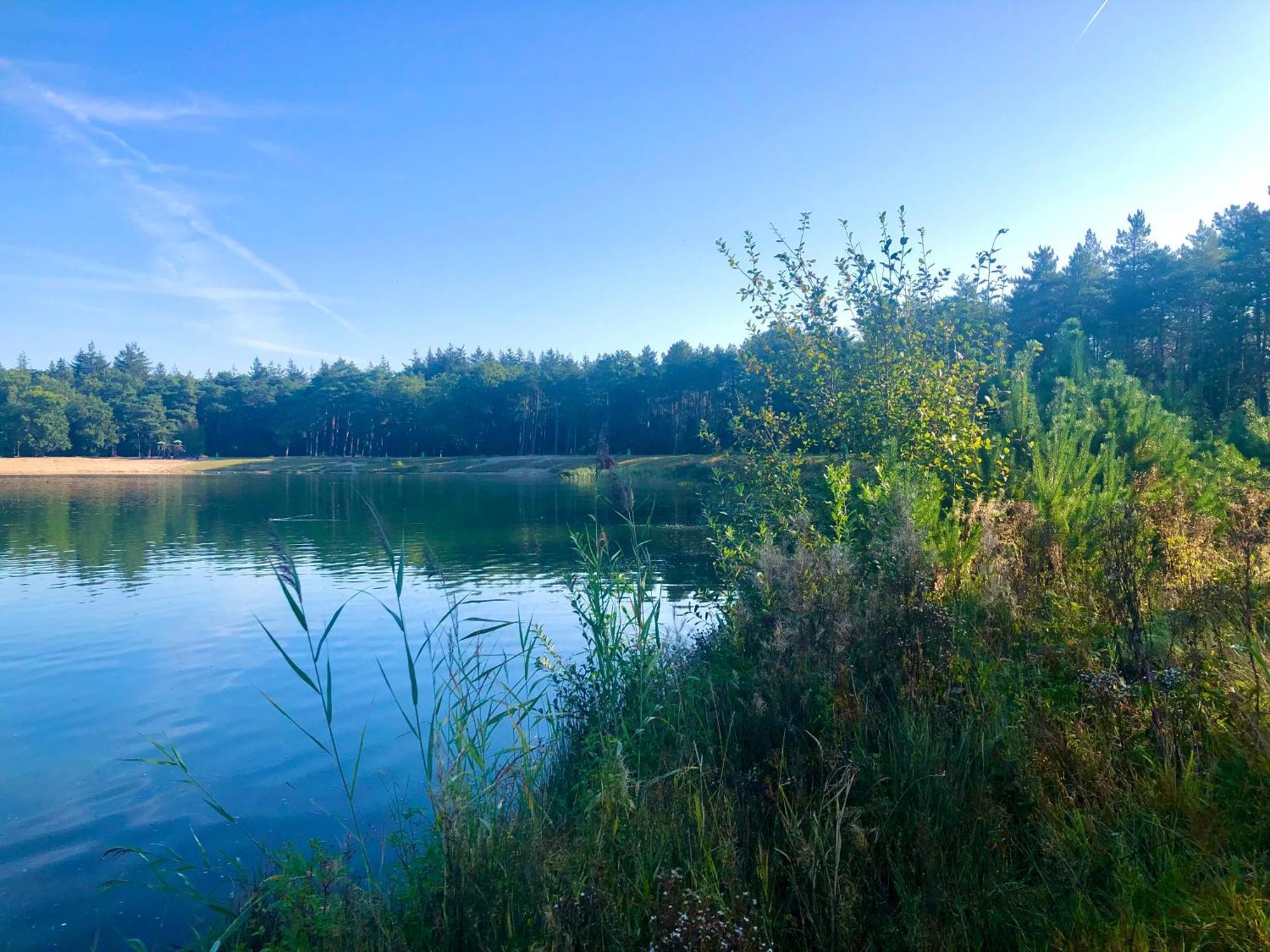 Het Natuurhuisje Op De Veluwe 宁斯佩特 外观 照片