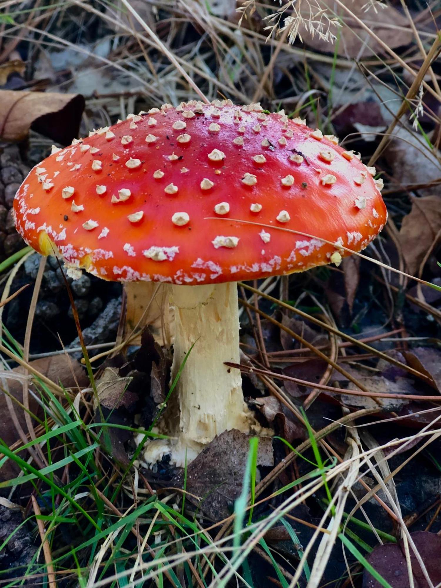 Het Natuurhuisje Op De Veluwe 宁斯佩特 外观 照片