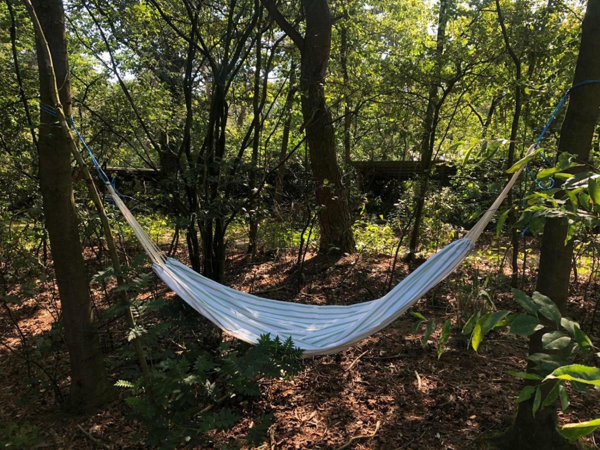 Het Natuurhuisje Op De Veluwe 宁斯佩特 外观 照片